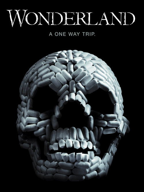 Movie poster for VIViD (2011)