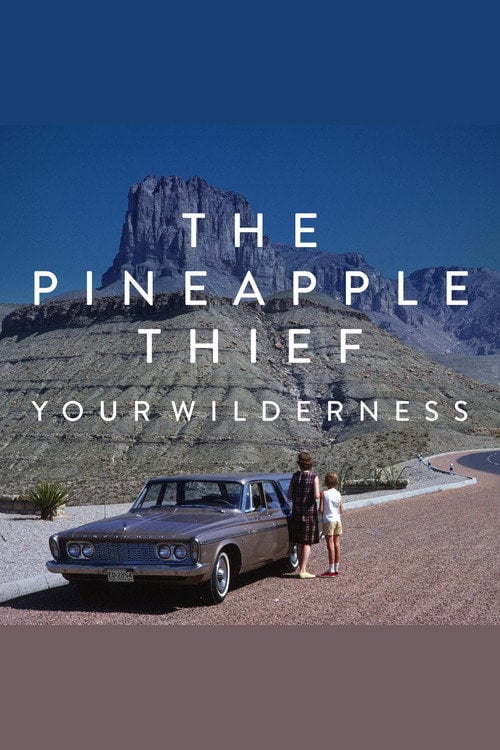 Movie poster for The Pineapple Thief: Your Wilderness (2017)
