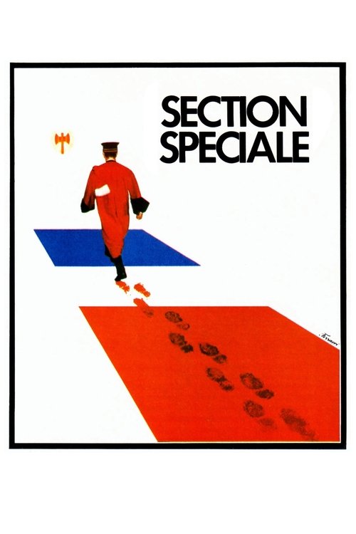 Movie poster for Special Section (1975)