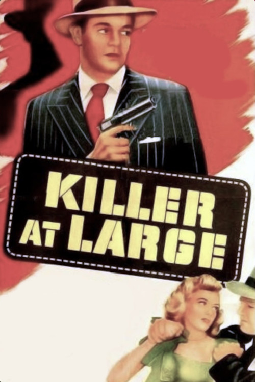 Movie poster for Killer at Large (1947)