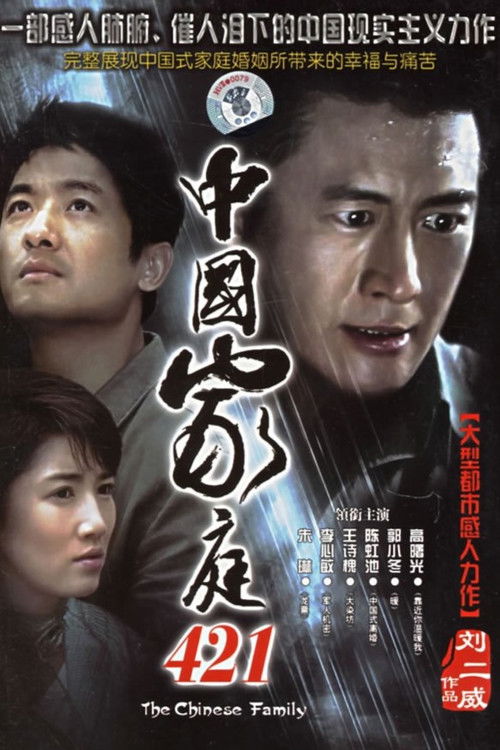 中国家庭421 poster