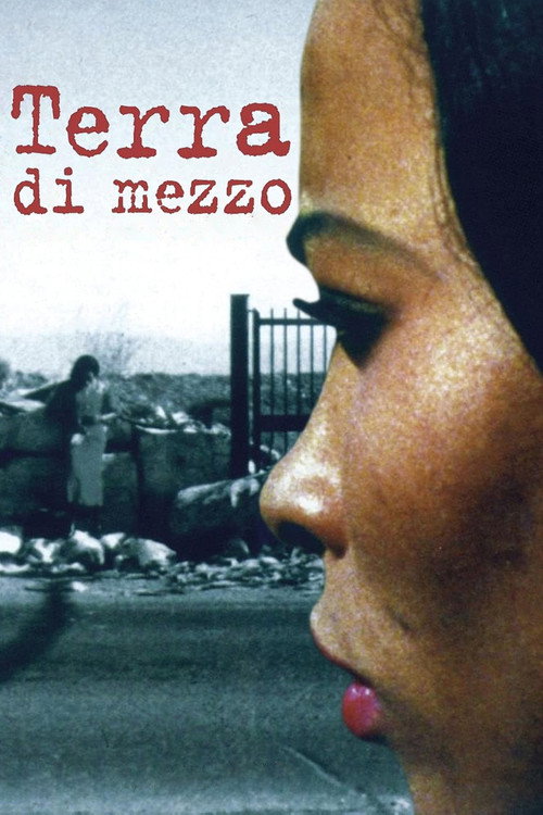 Movie poster for Land In Between (1996)