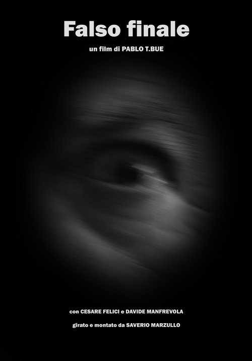 Movie poster for Falso finale (2023)