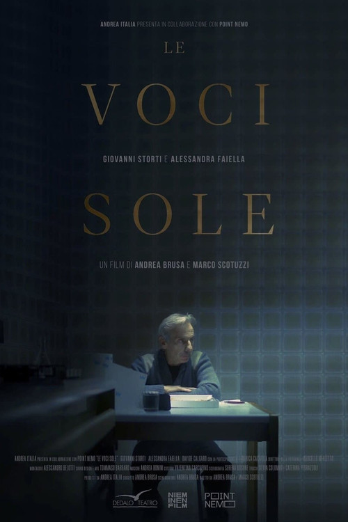 Movie poster for Lonely Voices (2022)
