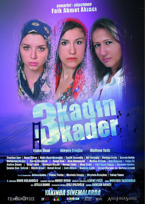 Movie poster for 3 Kadın 3 Kader (2013)