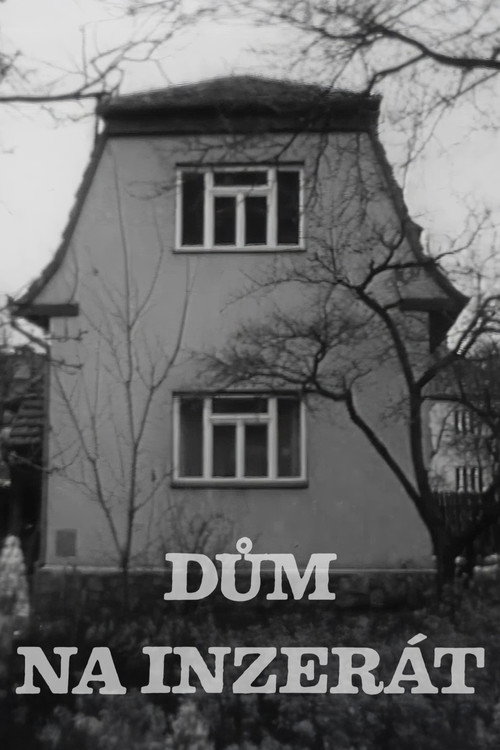 Movie poster for Dům na inzerát (1981)
