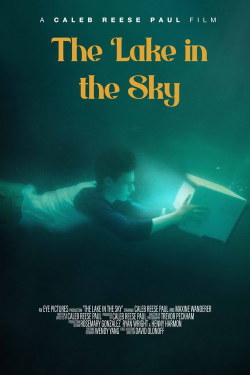 Movie poster for The Lake in the Sky (2024)