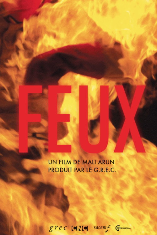 Movie poster for Feux (2015)