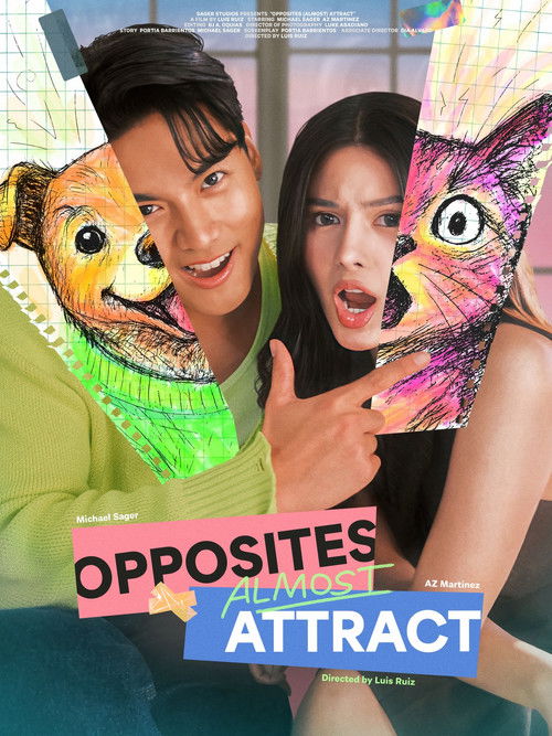 Opposites (Almost) Attract poster