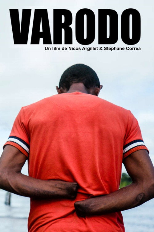 Movie poster for Varado (2023)