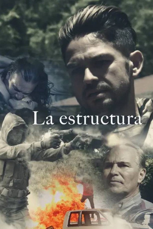 Movie poster for La estructura (2014)