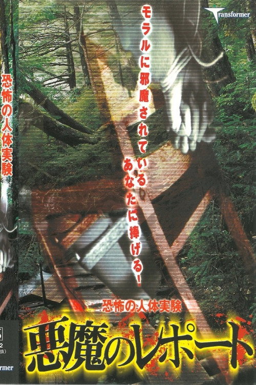 Movie poster for Terrifying Human Experiment: Devil's Report (2002)