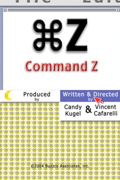 Movie poster for Command Z (2005)