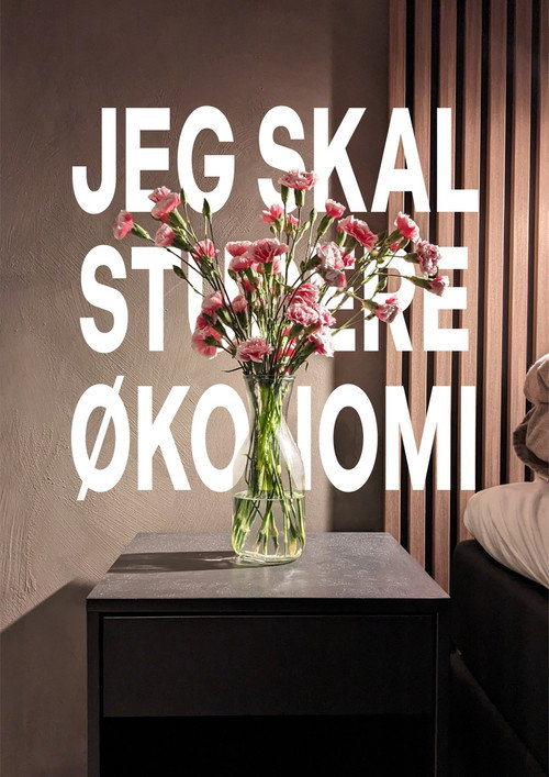 Movie poster for I'm going to study economics