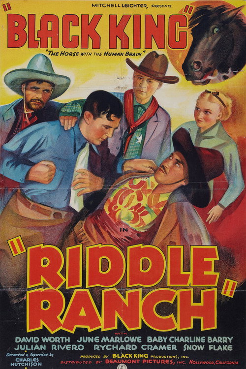 Movie poster for Riddle Ranch (1935)