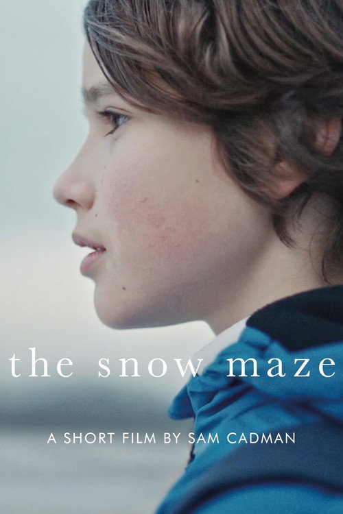 Movie poster for The Snow Maze (2020)