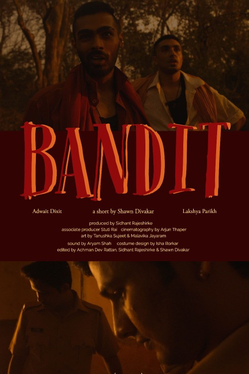 Movie poster for Bandit