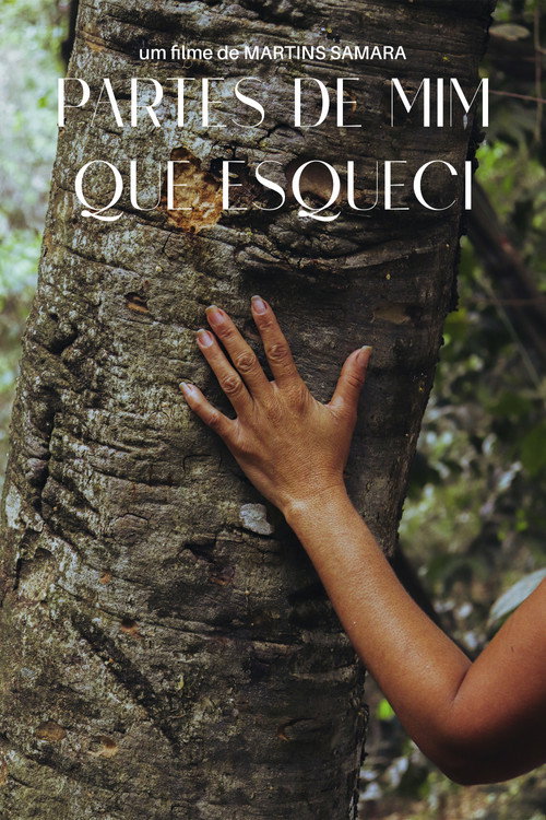 Movie poster for Partes de Mim que Esqueci (2025)