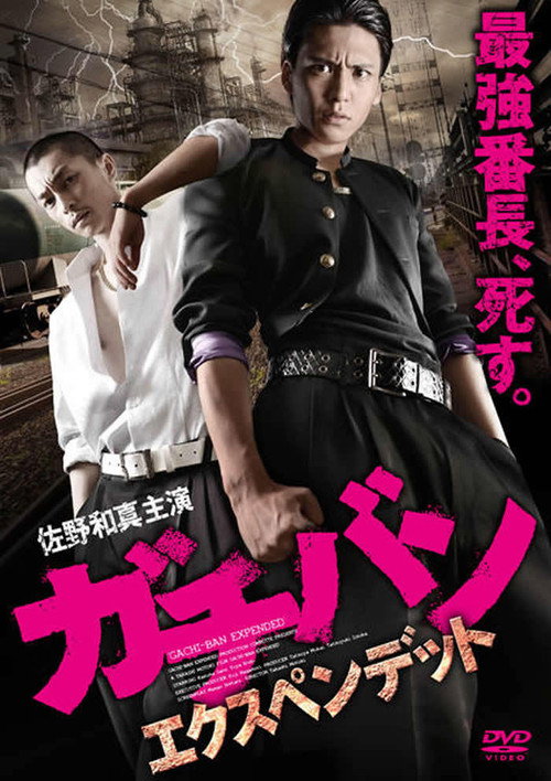 Movie poster for GACHI-BAN: EXPENDED (2013)