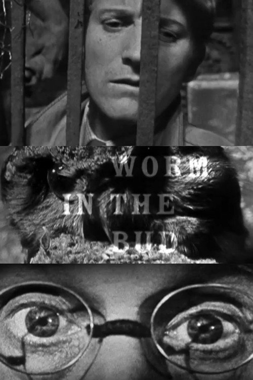 Movie poster for Worm in the Bud (1959)