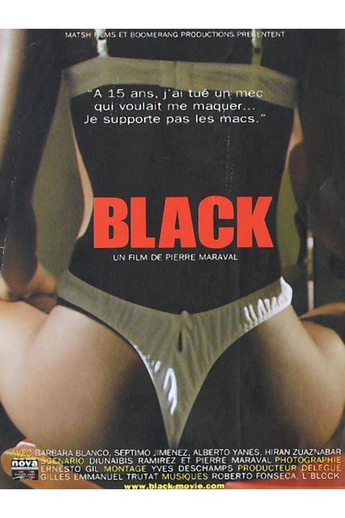 Movie poster for Black (2003)