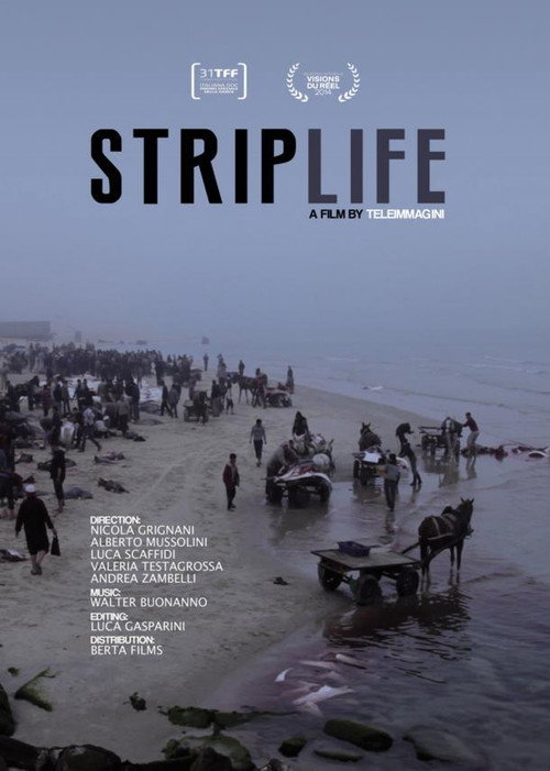 Movie poster for Striplife (2014)