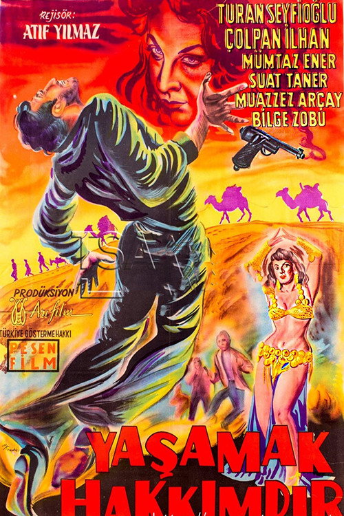 Movie poster for Yaşamak Hakkımdır (1958)