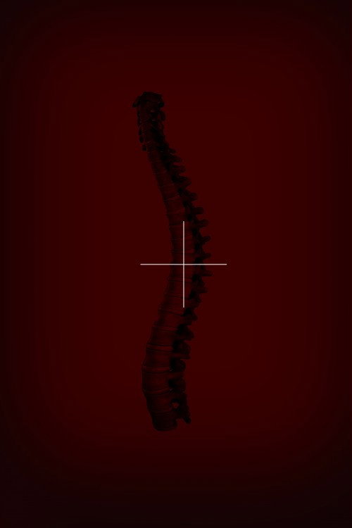 Movie poster for Il Terzo Reich (2020)