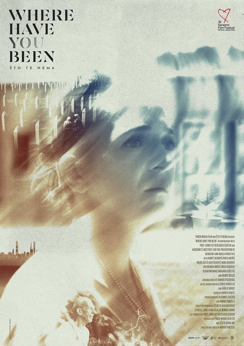Movie poster for Where Have You Been (2024)