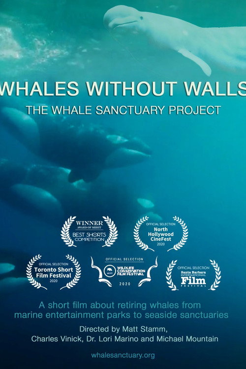 Movie poster for Whales Without Walls (2020)