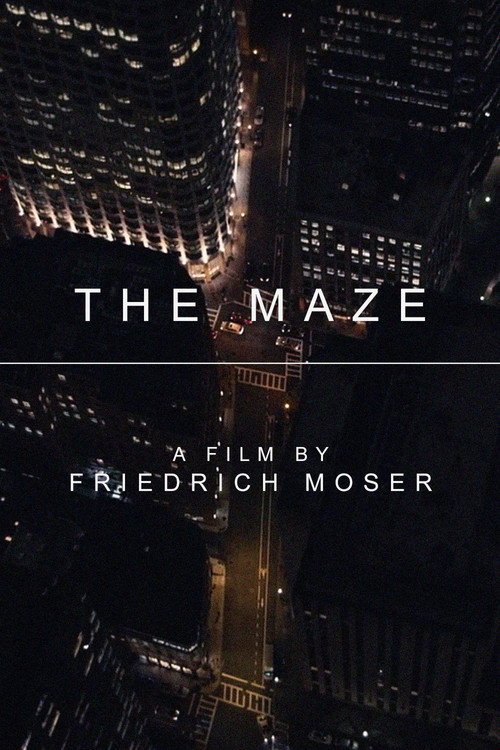 Movie poster for The Maze (2017)