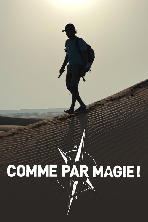Movie poster for Comme par magie (2024)