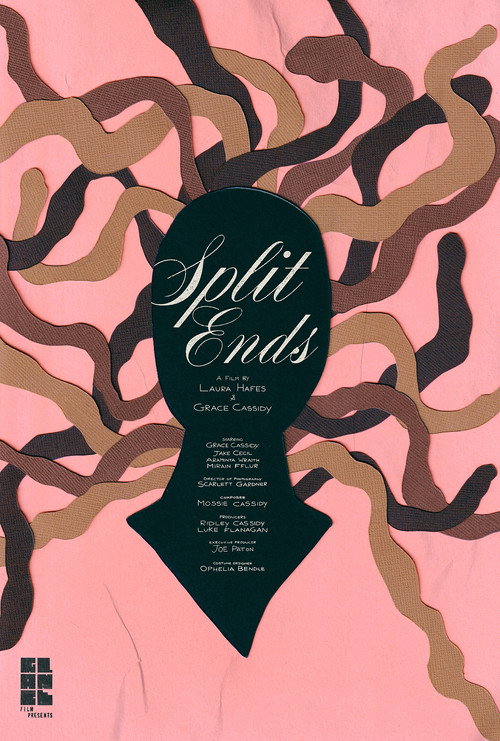 Movie poster for Split Ends