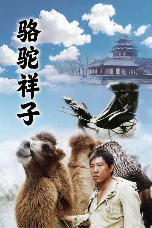 Series poster for 骆驼祥子 (1998)