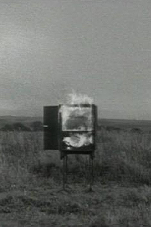 Movie poster for TV Interruptions: Burning TV (1971)