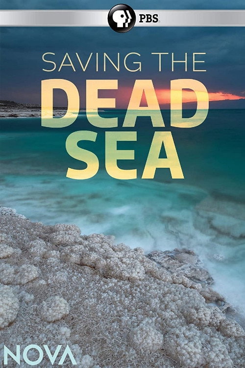 Movie poster for Saving the Dead Sea (2019)