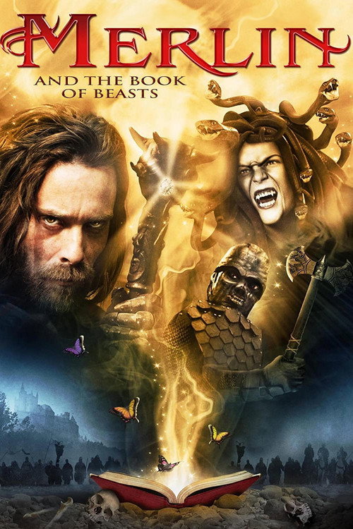 Movie poster for Merlin and the Book of Beasts (2009)