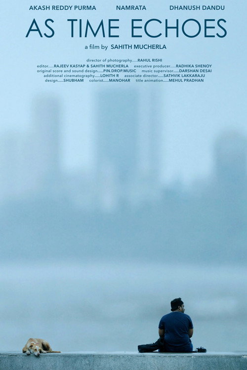 Movie poster for As Time Echoes