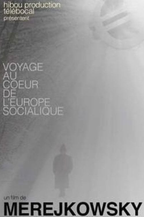 Movie poster for Voyage au coeur de l'Europe socialique (2013)