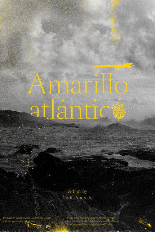 Movie poster for Atlantic Yellow (2022)