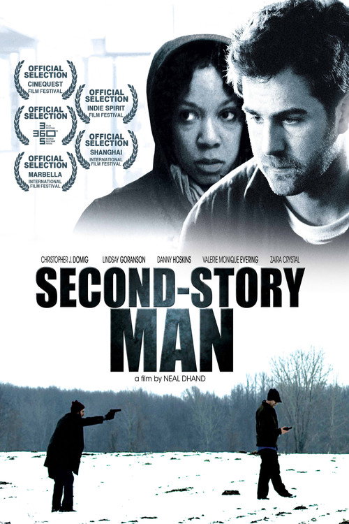 Movie poster for Second-Story Man (2011)