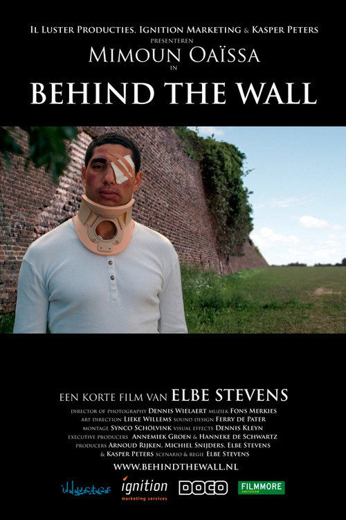 Movie poster for Behind the Wall (2010)