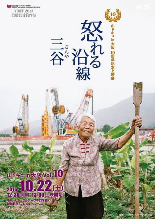 Movie poster for Raging Land 3: Three Valleys (2013)