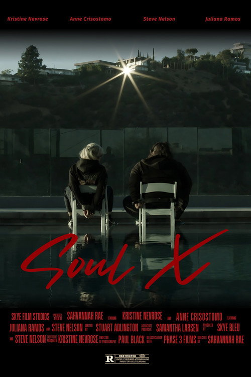 Movie poster for Soul X
