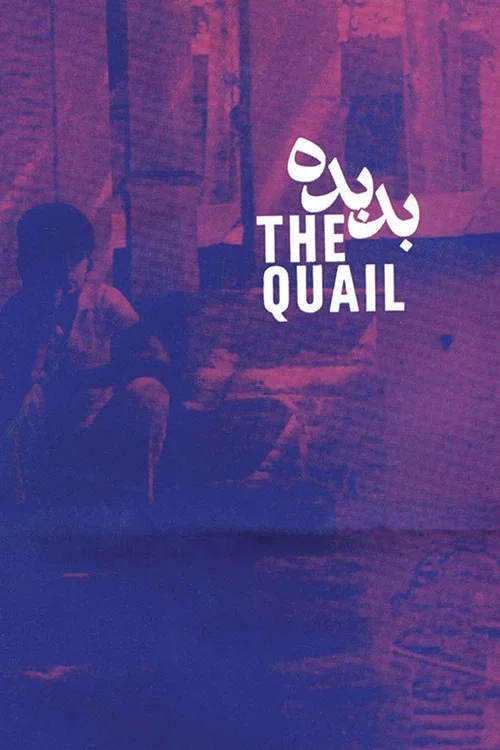 Movie poster for The Quail: The Tale of a Boy Who Asks (1970)