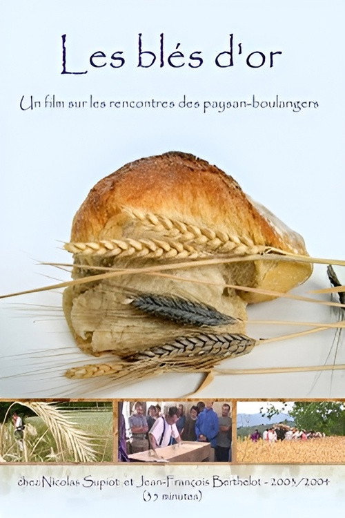 Movie poster for Les blés d'or
