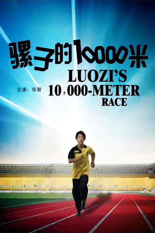 Movie poster for 骡子的10000米 (2012)
