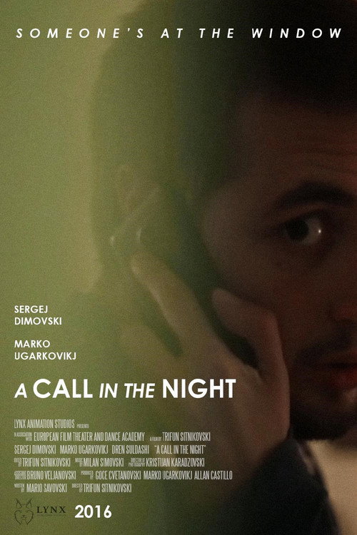 Movie poster for A Call in the Night (2016)