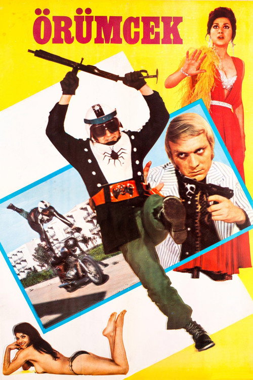 Movie poster for Spider (1972)