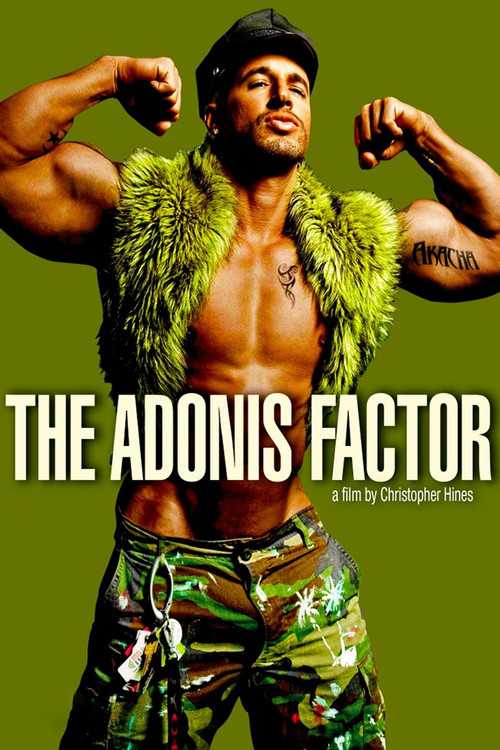 Movie poster for The Adonis Factor (2010)